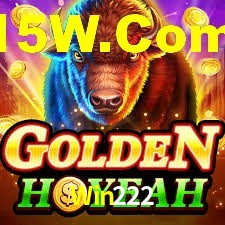 Programa VIP Win222